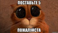 поставьте 5 пожалуйста