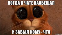когда в чате наобещал и забыл кому - что