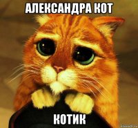 александра кот котик