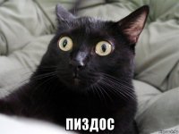  пиздос