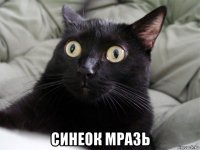  синеок мразь