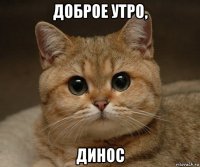 доброе утро, динос