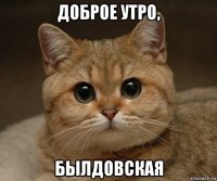 доброе утро, былдовская