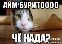 айм буритоооо чё нада?