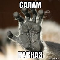 салам кавказ