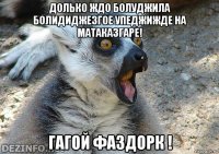 долько ждо болуджила болидиджезгое упеджижде на матаказгаре! гагой фаздорк !