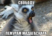 свободу лемурам мадагаскара