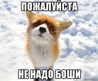 пожалуйста не надо боши