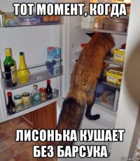 тот момент, когда лисонька кушает без барсука