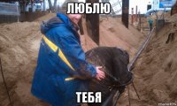 люблю тебя