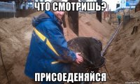 что смотришь? присоеденяйся