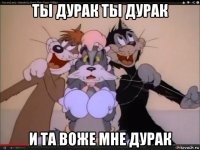 ты дурак ты дурак и та воже мне дурак