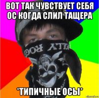 вот так чувствует себя ос когда слил тащера *типичные осы*