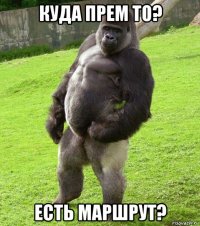 куда прем то? есть маршрут?