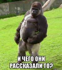  и чего они рассказали то?