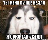 ты меня лучше не зли я сука так устал