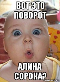 вот это поворот алина сорока?