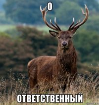 о ответственный