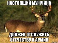 настоящий мужчина должен отслужить отечеству в армии