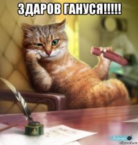 здаров гануся!!!!! 