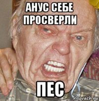 анус себе просверли пес