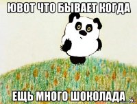 ювот что бывает когда ещь много шоколада