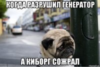 когда разрушил генератор а киборг сожрал