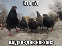 кто тут на дроздов наехал?