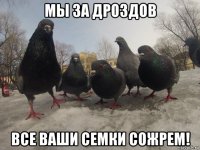 мы за дроздов все ваши семки сожрем!