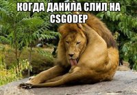 когда данила слил на csgodep 