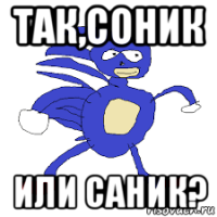 так,соник или саник?