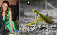 х 