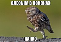 олеська в поисках какао