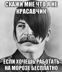 скажи мне что я не красавчик если хочешь работать на морозе бесплатно