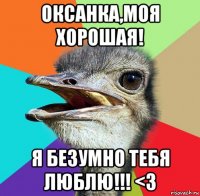 оксанка,моя хорошая! я безумно тебя люблю!!! <3