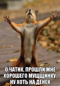  о чатик, прошли мне хорошего мущщинку, ну хоть на денек
