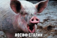 иосиф сталин