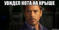 увидел кота на крыше 