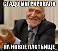 стадо мигрировало на новое пастбище