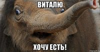 виталю хочу есть!