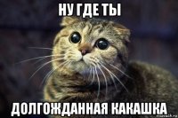 ну где ты долгожданная какашка