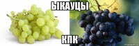 ыкауцы кпк