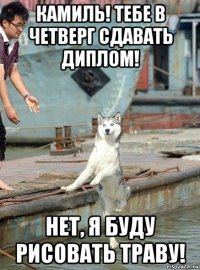 камиль! тебе в четверг сдавать диплом! нет, я буду рисовать траву!
