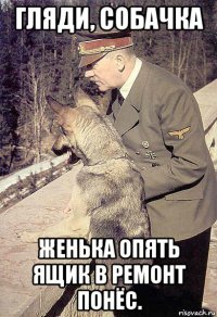 гляди, собачка женька опять ящик в ремонт понёс.