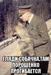  гляди собачка,там порошенко прогибается