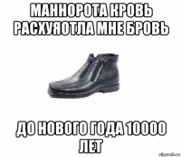 маннорота кровь расхуяотла мне бровь до нового года 10000 лет