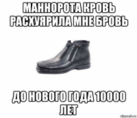 маннорота кровь расхуярила мне бровь до нового года 10000 лет
