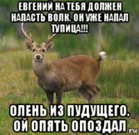 евгений на тебя должен напасть волк. он уже напал тупица!!! олень из пудущего. ой опять опоздал