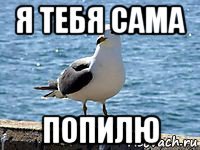 я тебя сама попилю