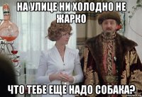 на улице ни холодно не жарко что тебе еще надо собака?